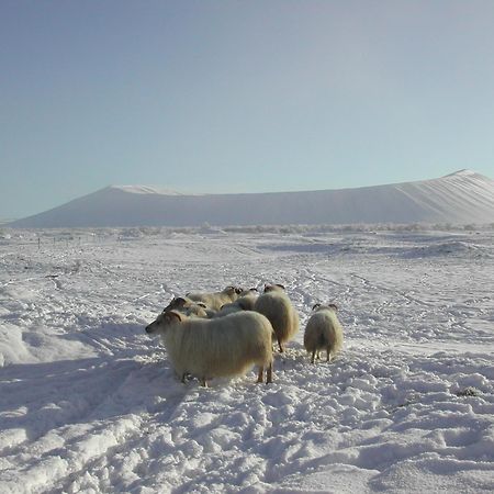 Vogafjos Farm Resort Mývatn Zewnętrze zdjęcie